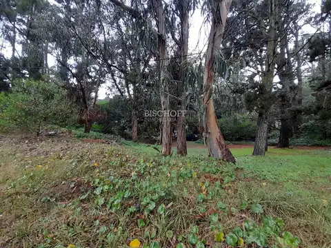 VENTA DE TERRENO, EN MAR DE LAS PAMPAS