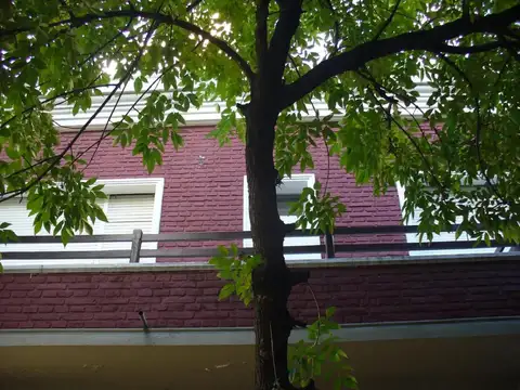 Departamento en alquiler - 3 Dormitorios 1 Baño - La Plata