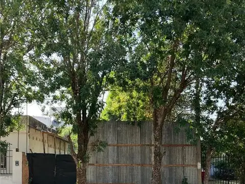 LOPEZ Y PLANES 1100, Piso P.B.