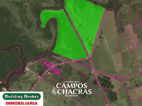 Campo en Venta Mixto
