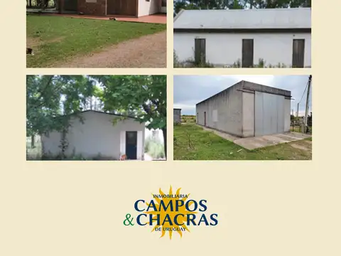 Campo en venta de 143 Has., en el departamento de Canelones, Uruguay.