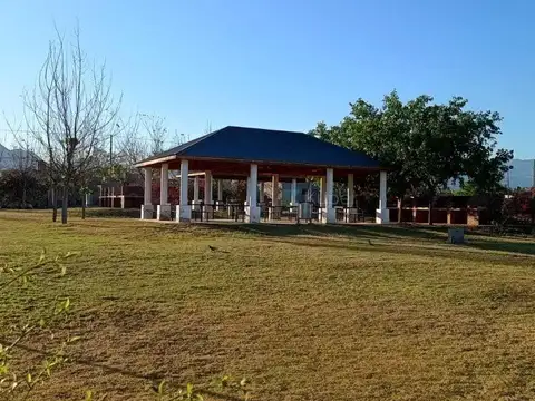 El Trebol 100