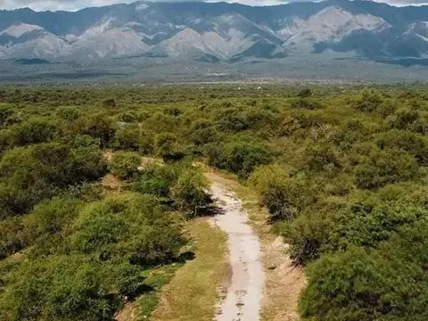 VENTA DE TERRENO EN SAN JAVIER, CÓRDOBA