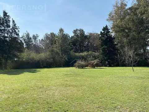 VentaTerreno 1300 m2, Parque Sakura, calle Saavedra al 300, Exaltación de la Cruz