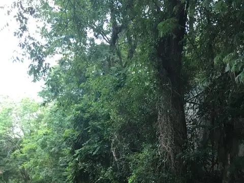 EN VENTA  TERRENO EN ESQUINA  A 1 CUADRA DEL RIO PARANA EN