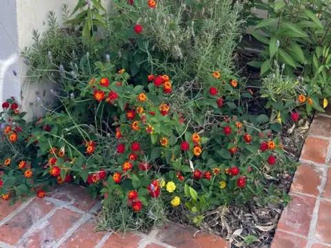 Casa en Alquiler de 1 dormitorio