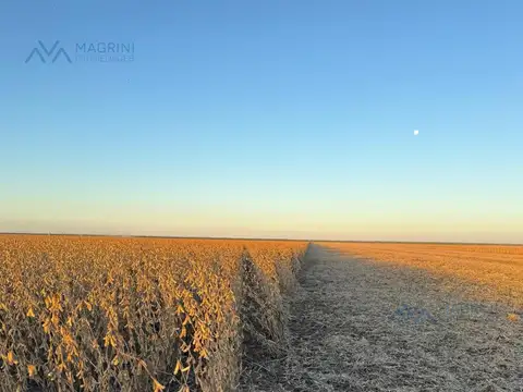 Campo Agrícola de 3750 Has. en Zona Quimilí, Santiago del Estero, Argentina