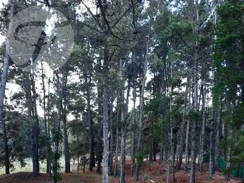 Terreno en Venta 17  mts Frente