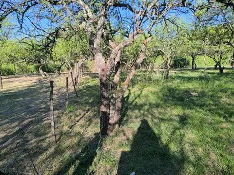 Terreno en Venta de 600,0 m2