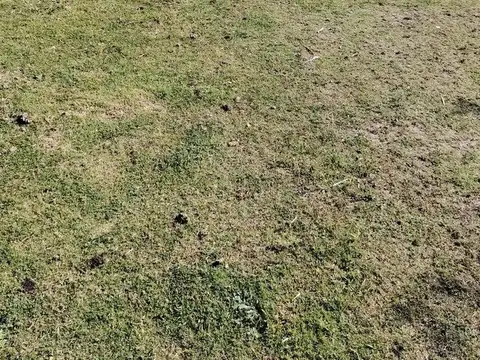 Terreno en Venta en Paysandu, USD 35.000