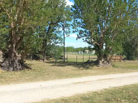 Terreno en Venta en Abasto, USD 90.000