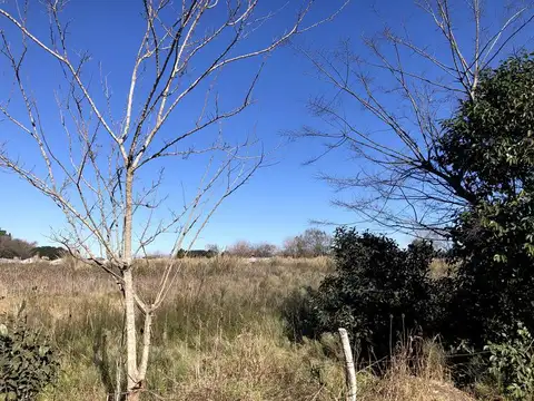 Terreno en Venta 117  mts Fondo