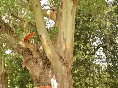 Lote Terreno venta Barrio San Juan Chico