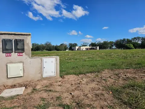 Lote 250. Barrio Santa Inés, Comarcas de Luján.
