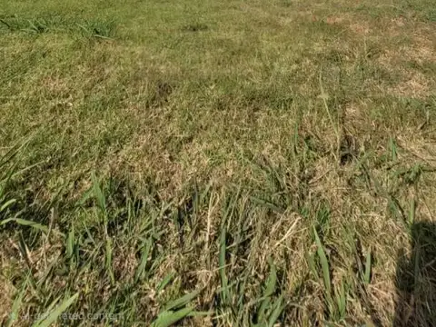 Terreno en Venta en Rafaela, USD 62.000