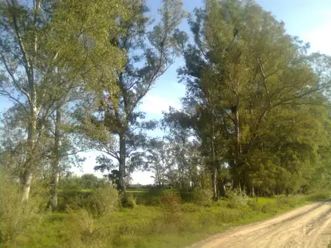 Quinta en Venta al Oeste