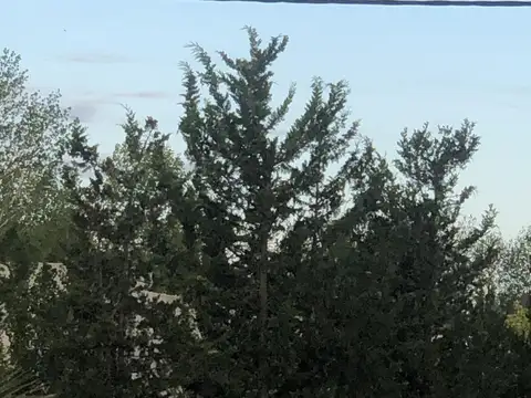 Terreno en Venta en San Rafael, USD 33.600