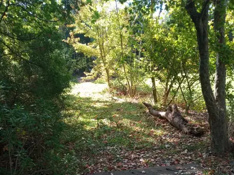 Terreno en Venta 30  mts Fondo