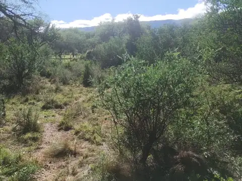 Cortaderas, terreno 9.650 m2 ideal uso turístico