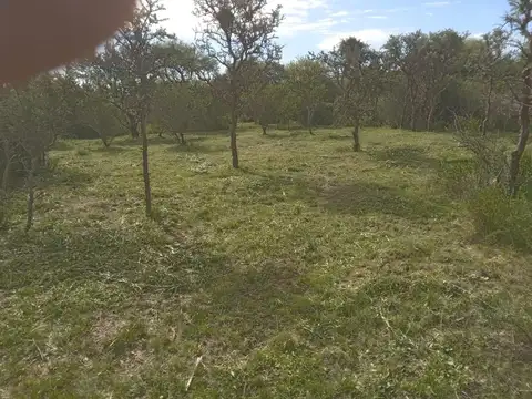 Cortaderas, terreno 9.650 m2 ideal uso turístico