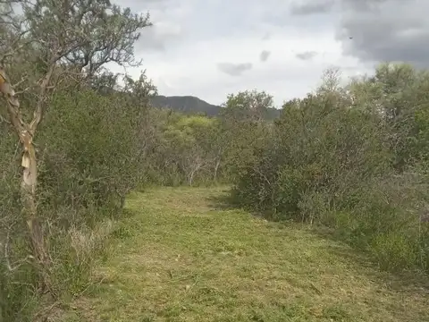 Terreno en Venta de 9650,0 m2