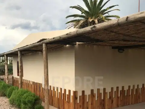 Campo - Venta - Argentina, San Rafael