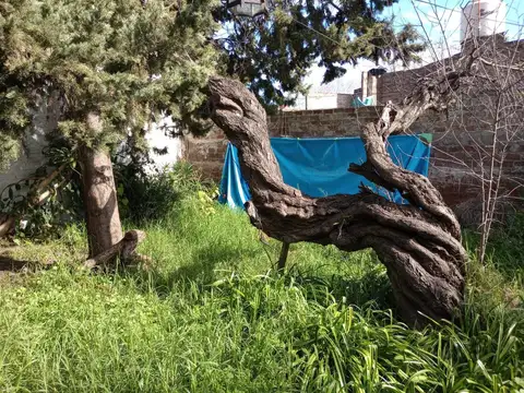 CASA DE TRES AMBIENTES A RECICLAR