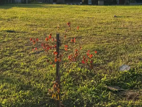 Terreno en Venta en Yerba Buena, USD 75.000