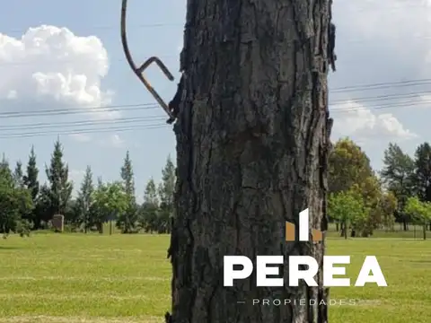 Terreno en Venta de 1100,0 m2