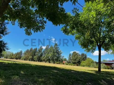 Venta de lote en Campos de Roca II Lote N°288