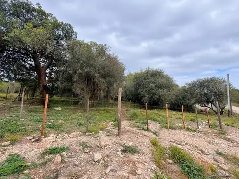 Terreno en salsipuedes