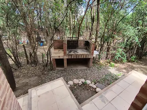 Los Pájaros 100
