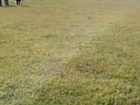 Terreno en Venta de 820,0 m2