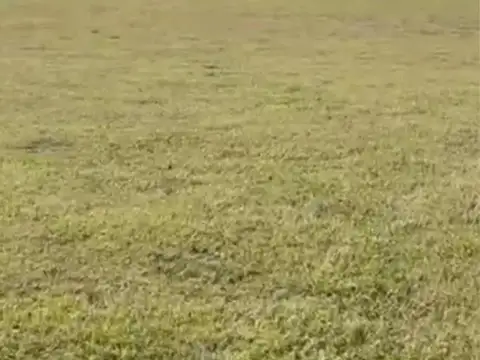 Terreno en Venta en San Lucas, USD 49.500