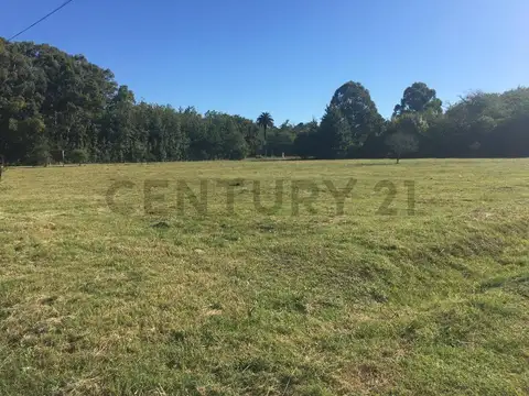 Lote en venta en Magdalena