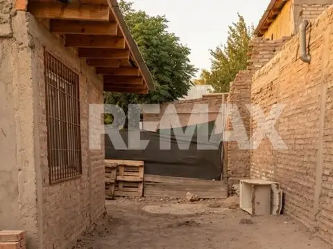 Dr. Lembeye 100