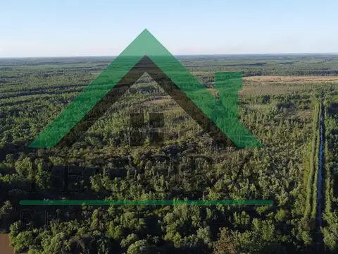 Rio Panara al 72000 - Belen de Escobar