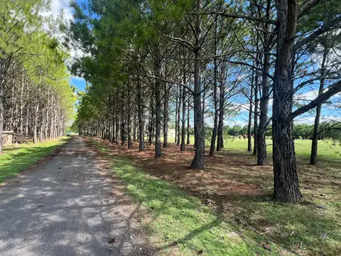 Terreno en La Macarena