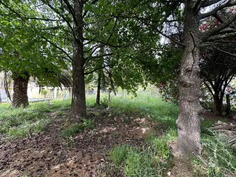 Terreno amplio en Mar de Cobo de 750 mts2