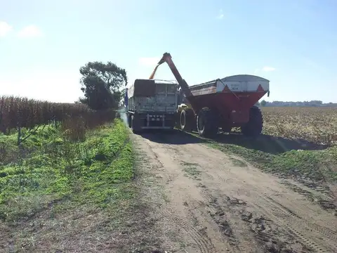 Campo 323 has en Roque Perez