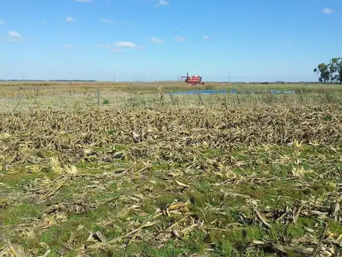 Circunvalacion  100