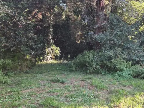 Terreno en Venta de 2047,5 m2