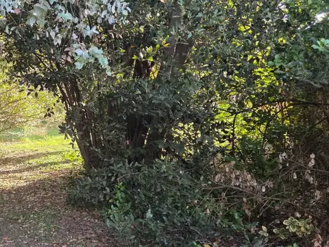 LOTE CON MEJORAS EN ZONA DE CASAS QUINTAS