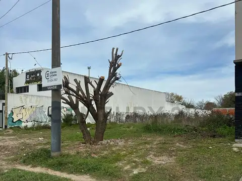 avenida 31 e/523 y 524 , Piso 0