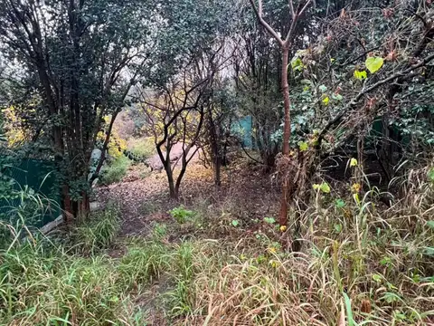 SE VENDE AMPLIO LOTE EN LA GRANJA 