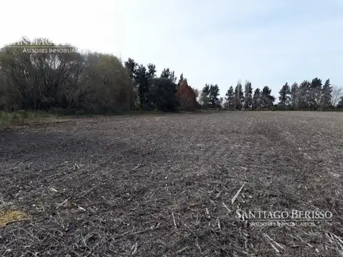 73 ha. Los Cardales / apto desarrollo