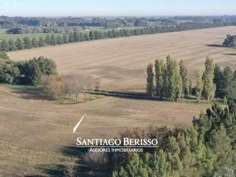 73 ha. Los Cardales / apto desarrollo