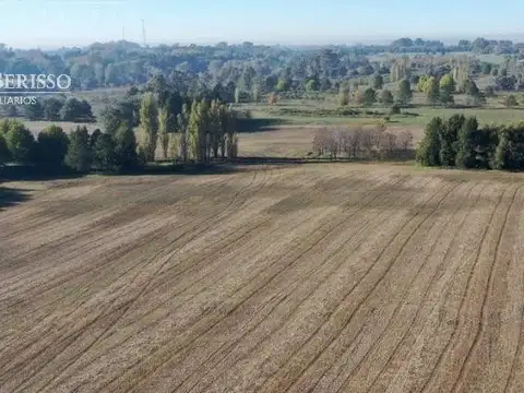 Los Cardales / Apto desarrollo