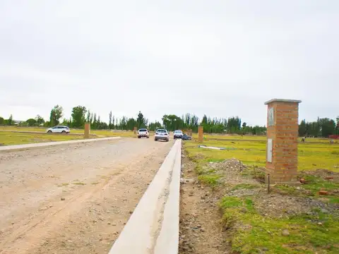 Lago Huechulafquen  al 100