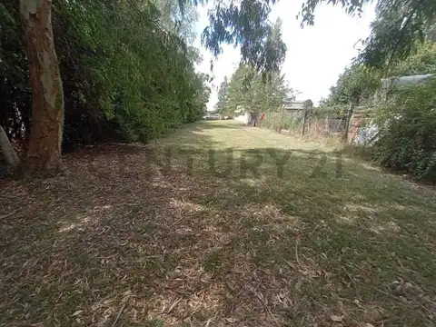 Lote en venta de 648 m2 en 178 e/ 40 y 41, Lisandro Olmos